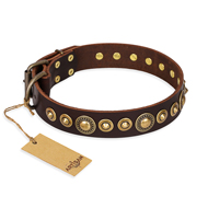 "Ancient Warrior" FDT Artisan Fancy Leather Bullmastiff Collar with Old-Bronze Plated Decorations "Ancient Warrior" FDT Artisan Fancy Leather Bullmastiff Collar with Old-Bronze Plated Decorations