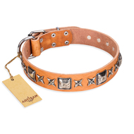 "Glamour Finery" FDT Artisan Female Bullmastiff collar of natural leather with stylish old-looking circles "Glamour Finery" FDT Artisan Female Bullmastiff collar of natural leather with stylish old-looking circles