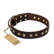 "Bronze Sheen" FDT Artisan Leather Bullmastiff Collar with Brass-Plated Studs "Bronze Sheen" FDT Artisan Leather Bullmastiff Collar with Brass-Plated Studs