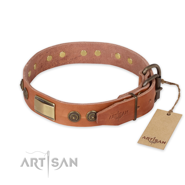 Corrosion proof buckle on full grain natural leather collar for walking your pet