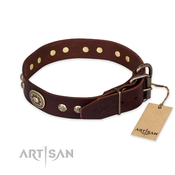 Corrosion proof traditional buckle on genuine leather collar for everyday walking your canine
