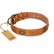 "Dandy Pet" FDT Artisan Handcrafted Tan Leather Bullmastiff Collar "Dandy Pet" FDT Artisan Handcrafted Tan Leather Bullmastiff Collar