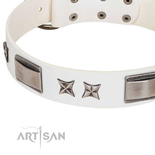 Quality full grain genuine leather dog collar with rust resistant buckle