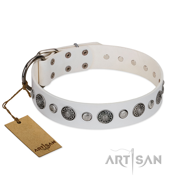 Quality genuine leather dog collar with rust resistant traditional buckle