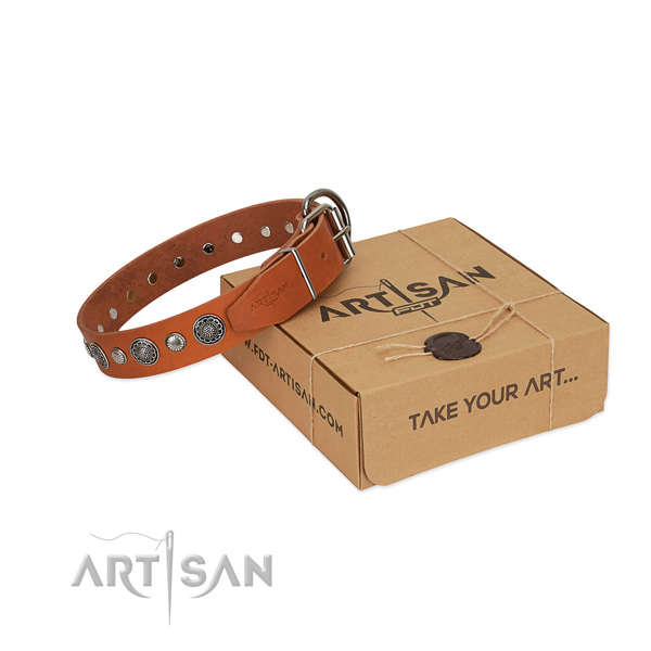 Genuine leather collar with reliable traditional buckle for your handsome doggie