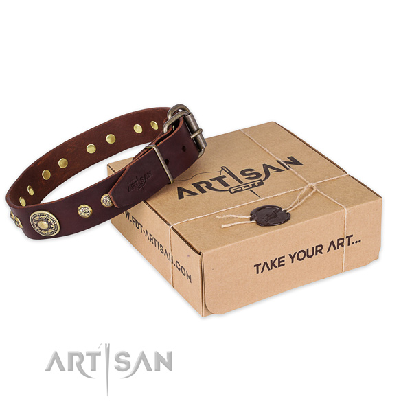 Strong buckle on leather dog collar for fancy walking