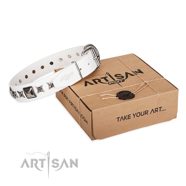 Walking genuine leather dog collar with adornments