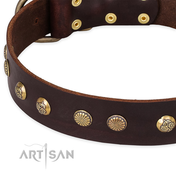 Full grain natural leather collar with rust-proof D-ring for your beautiful dog