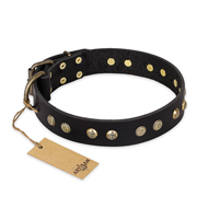 "Black Elegance" FDT Artisan Leather Bullmastiff Collar with Round Studs "Black Elegance" FDT Artisan Leather Bullmastiff Collar with Round Studs