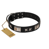 "Pitch Dark" FDT Artisan Black Leather Bullmastiff Collar with Stars and Plates