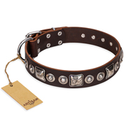 "Pierian spring" FDT Artisan Brown Leather Bullmastiff Collar with Silvery Decorations