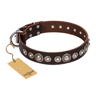 "Step and Sparkle" FDT Artisan Glamorous Studded Brown Leather Bullmastiff Collar