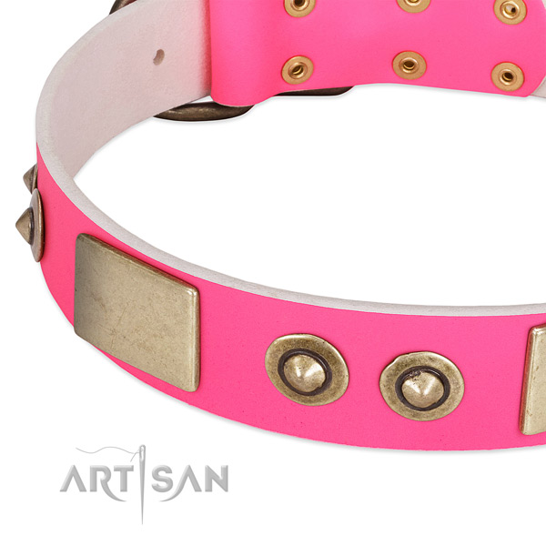 Rust-proof fittings on leather dog collar for your canine