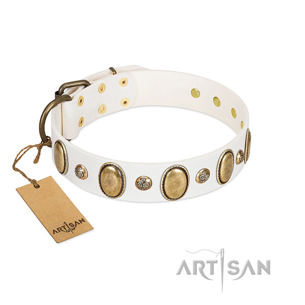 Leather dog collar of best quality material with unique embellishments