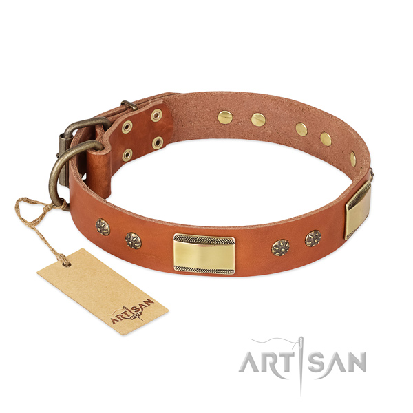 Remarkable genuine leather collar for your pet