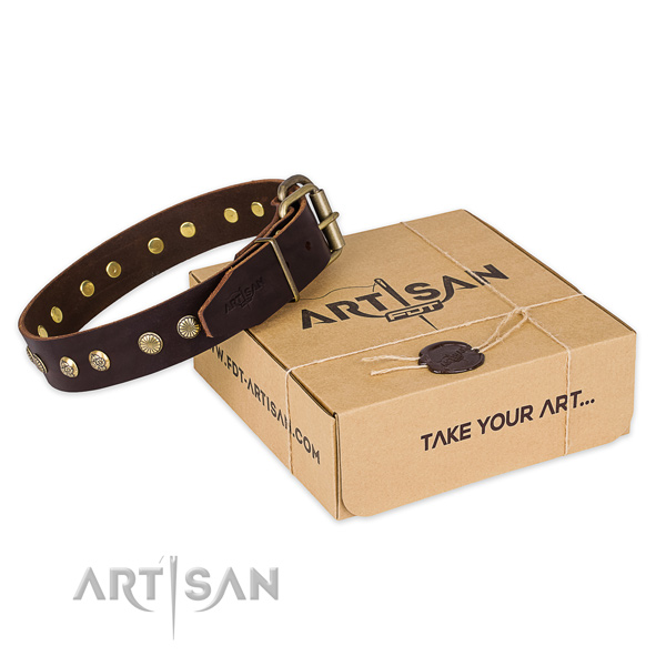 Rust-proof D-ring on full grain genuine leather collar for your lovely pet