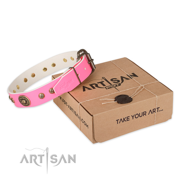 Corrosion resistant D-ring on leather dog collar for stylish walking