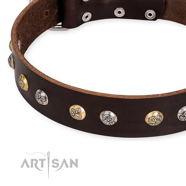 Genuine leather dog collar with impressive durable adornments