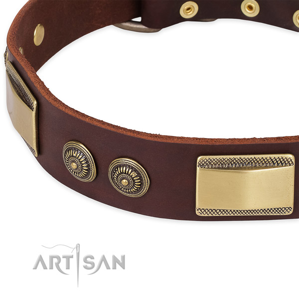 Significant full grain natural leather collar for your attractive canine