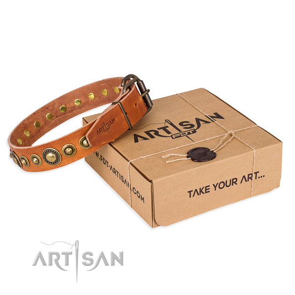 Reliable full grain leather dog collar handmade for everyday walking