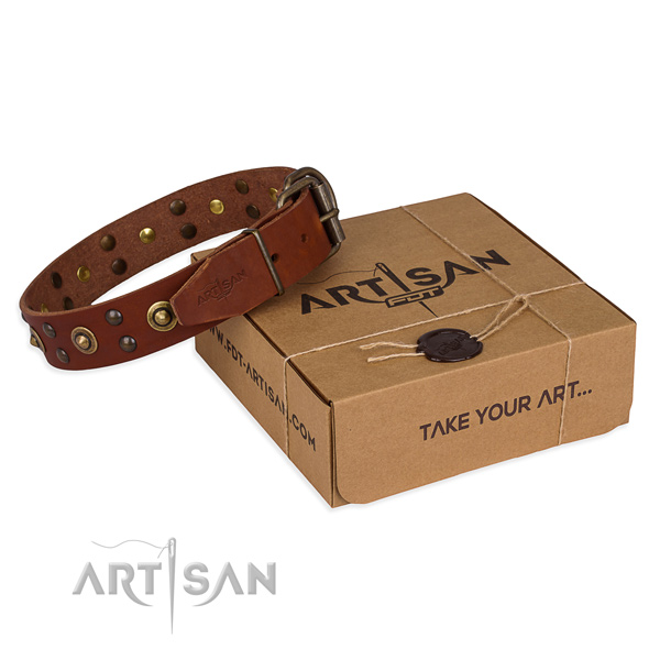 Reliable hardware on leather collar for your handsome doggie