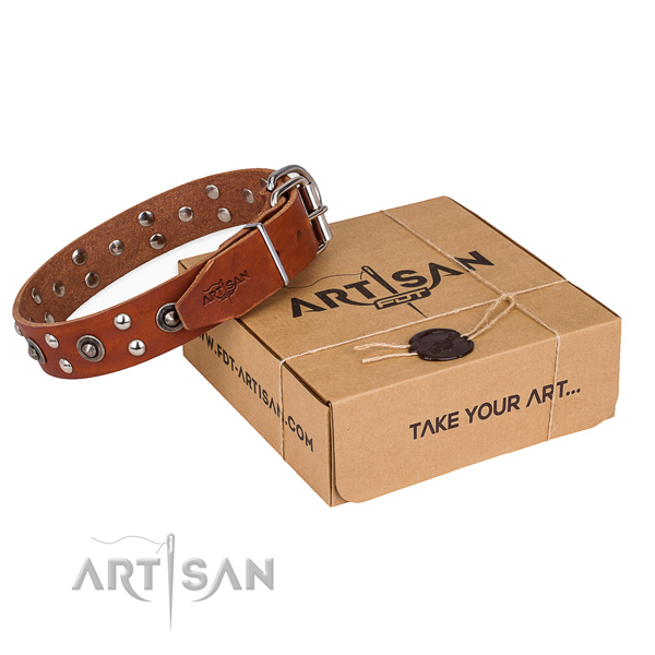 Rust resistant traditional buckle on full grain leather collar for your lovely dog