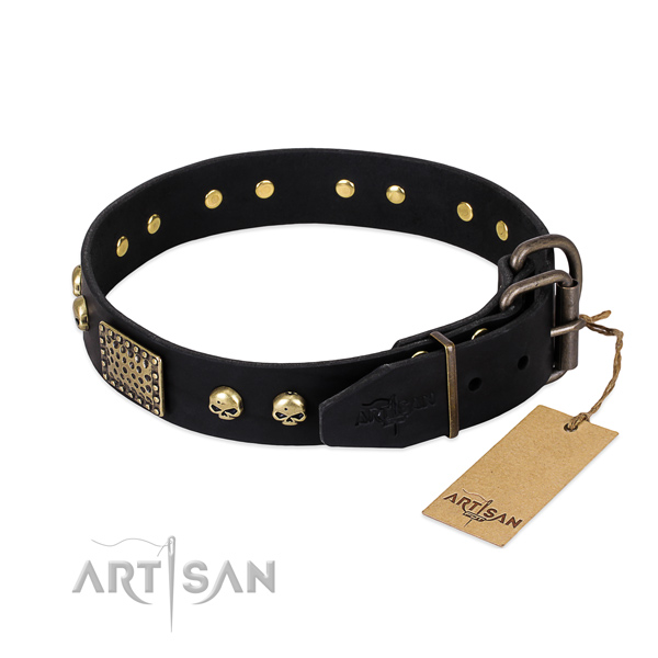 Reliable buckle on basic training dog collar