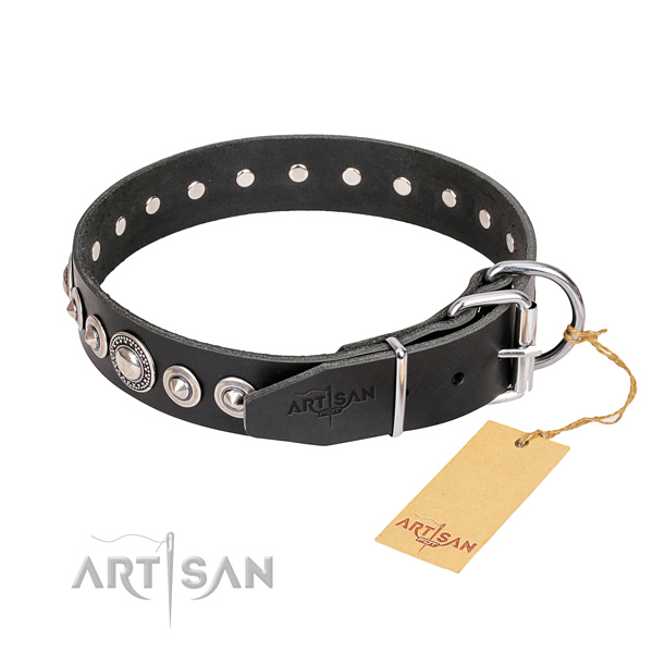 Quality studded dog collar of full grain leather