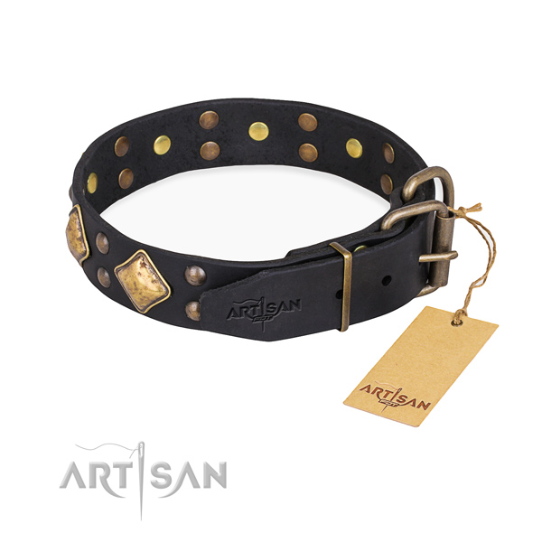 Full grain leather dog collar with fashionable corrosion proof decorations