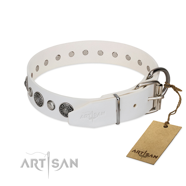 Quality full grain leather dog collar with corrosion proof hardware