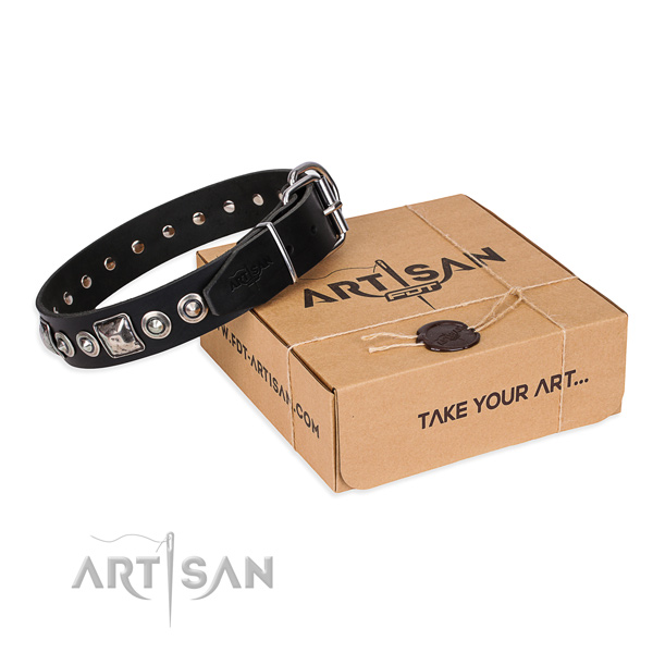 Full grain leather dog collar made of gentle to touch material with strong traditional buckle