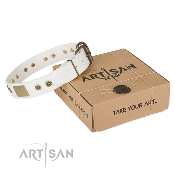 Significant full grain leather collar for your impressive dog