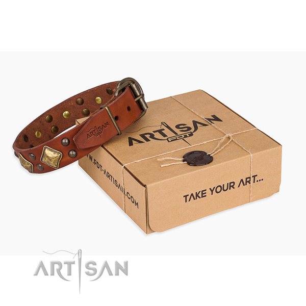 Walking dog collar with Amazing rust-proof decorations