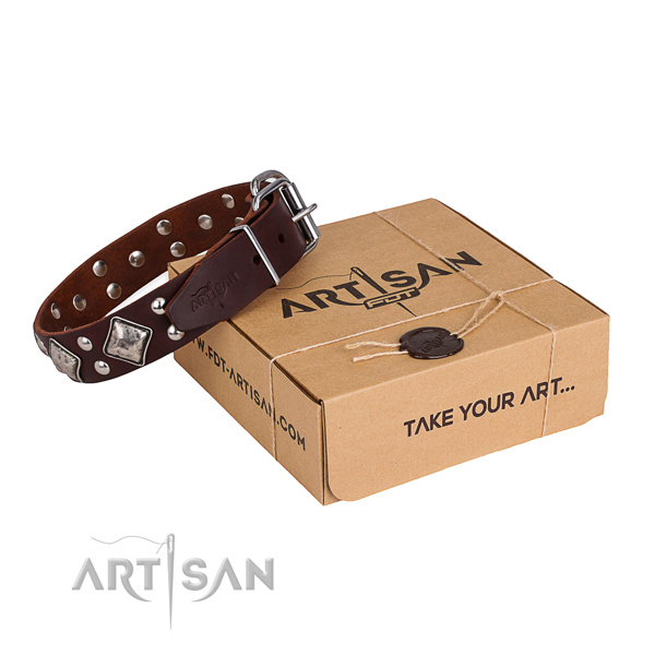 Everyday use dog collar with Inimitable rust resistant studs