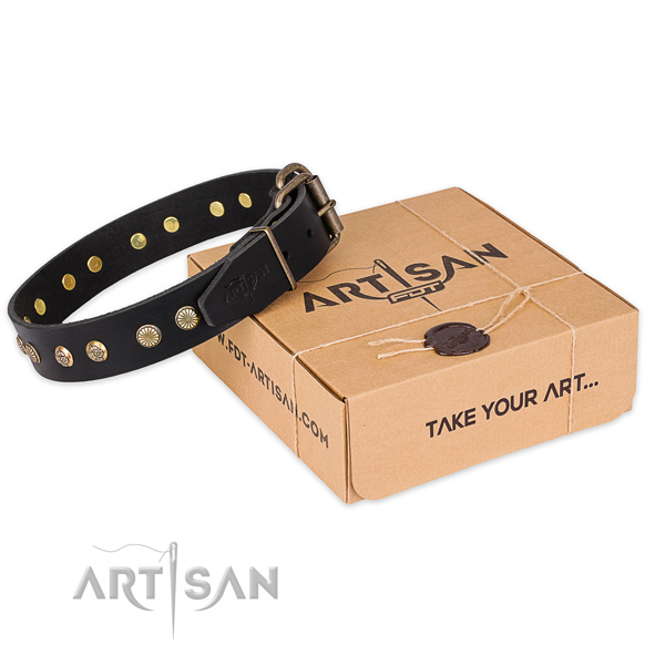 Strong traditional buckle on full grain genuine leather collar for your attractive dog