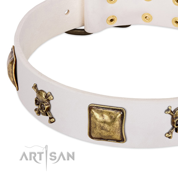 Designer full grain genuine leather dog collar with rust resistant adornments