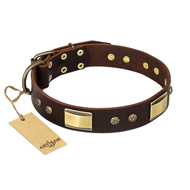 "Rich Fashion" FDT Artisan Decorated Leather Bullmastiff Collar with Plates and Studs