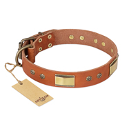 "Enchanting Spectacle" FDT Artisan Tan Leather Bullmastiff Collar with Old Bronze Look Plates and Round Studs "Enchanting Spectacle" FDT Artisan Tan Leather Bullmastiff Collar with Old Bronze Look Plates and Round Studs