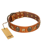 "Rockin' Doggie" FDT Artisan Tan Leather Bullmastiff Collar Adorned with Stars and Skulls