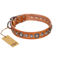 "Daily Chic" FDT Artisan Tan Leather Bullmastiff Collar with Decorations "Daily Chic" FDT Artisan Tan Leather Bullmastiff Collar with Decorations