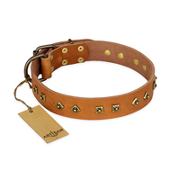 "Autumn Story" FDT Artisan Leather Bullmastiff Collar with Old Bronze Look Studs "Autumn Story" FDT Artisan Leather Bullmastiff Collar with Old Bronze Look Studs