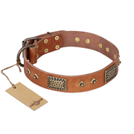 "Catchy Look" FDT Artisan Decorated Tan Leather Bullmastiff Collar "Catchy Look" FDT Artisan Decorated Tan Leather Bullmastiff Collar