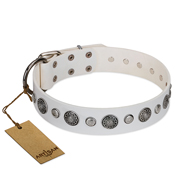 "Fluff-Stuff Beauty" FDT Artisan White Leather Bullmastiff Collar with Silver-like Studs and Conchos "Fluff-Stuff Beauty" FDT Artisan White Leather Bullmastiff Collar with Silver-like Studs and Conchos