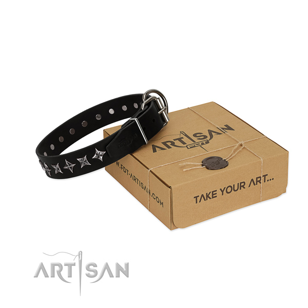 Comfortable wearing dog collar of top notch leather with adornments