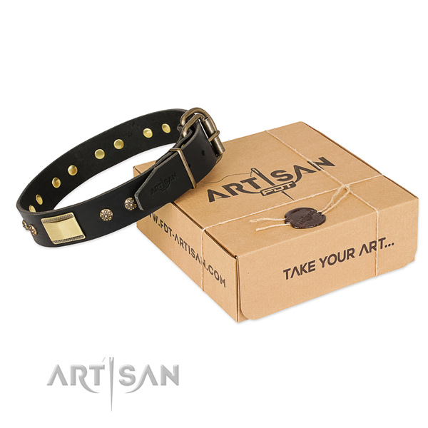 Incredible full grain leather collar for your impressive dog