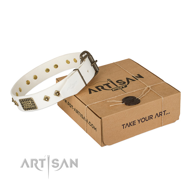 Significant genuine leather collar for your beautiful doggie