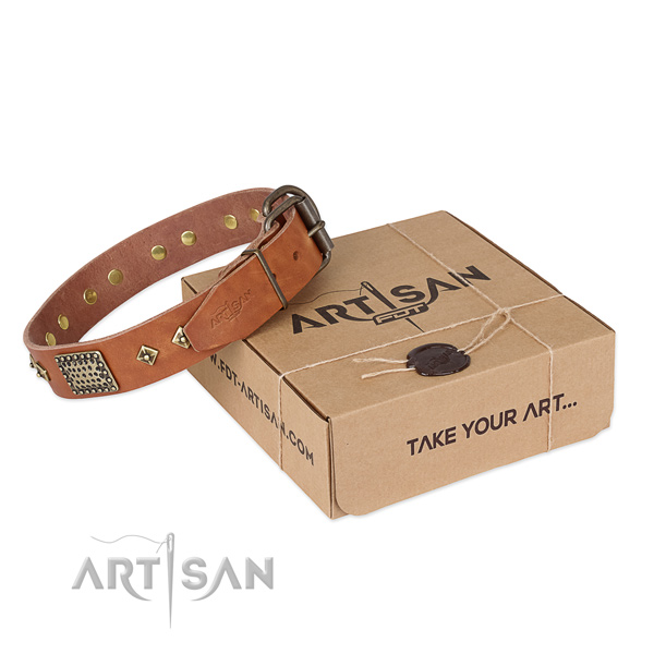 Fashionable full grain leather collar for your impressive doggie