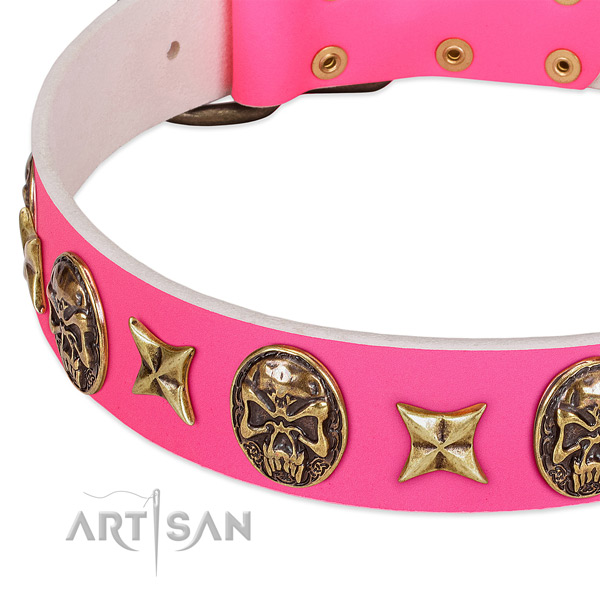 Full grain genuine leather dog collar with unusual embellishments