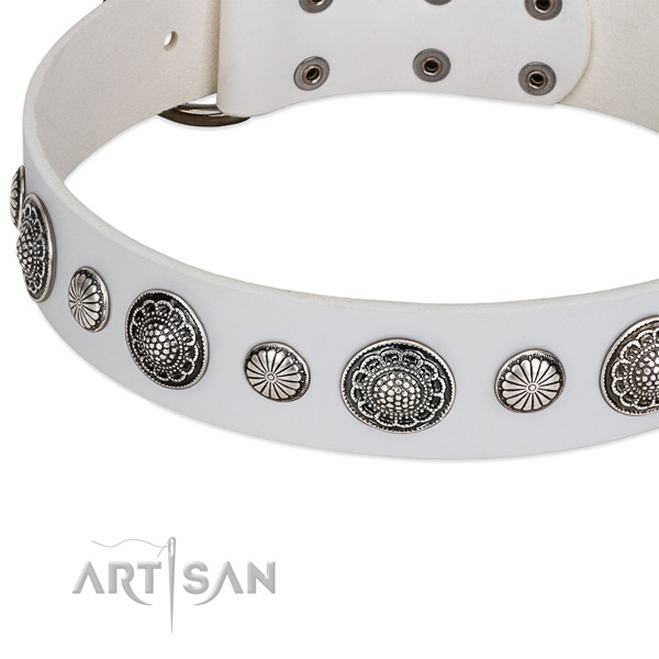 Full grain natural leather collar with corrosion proof fittings for your attractive four-legged friend