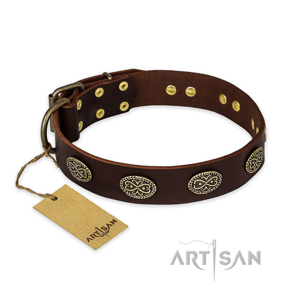 Fashionable leather dog collar with durable traditional buckle